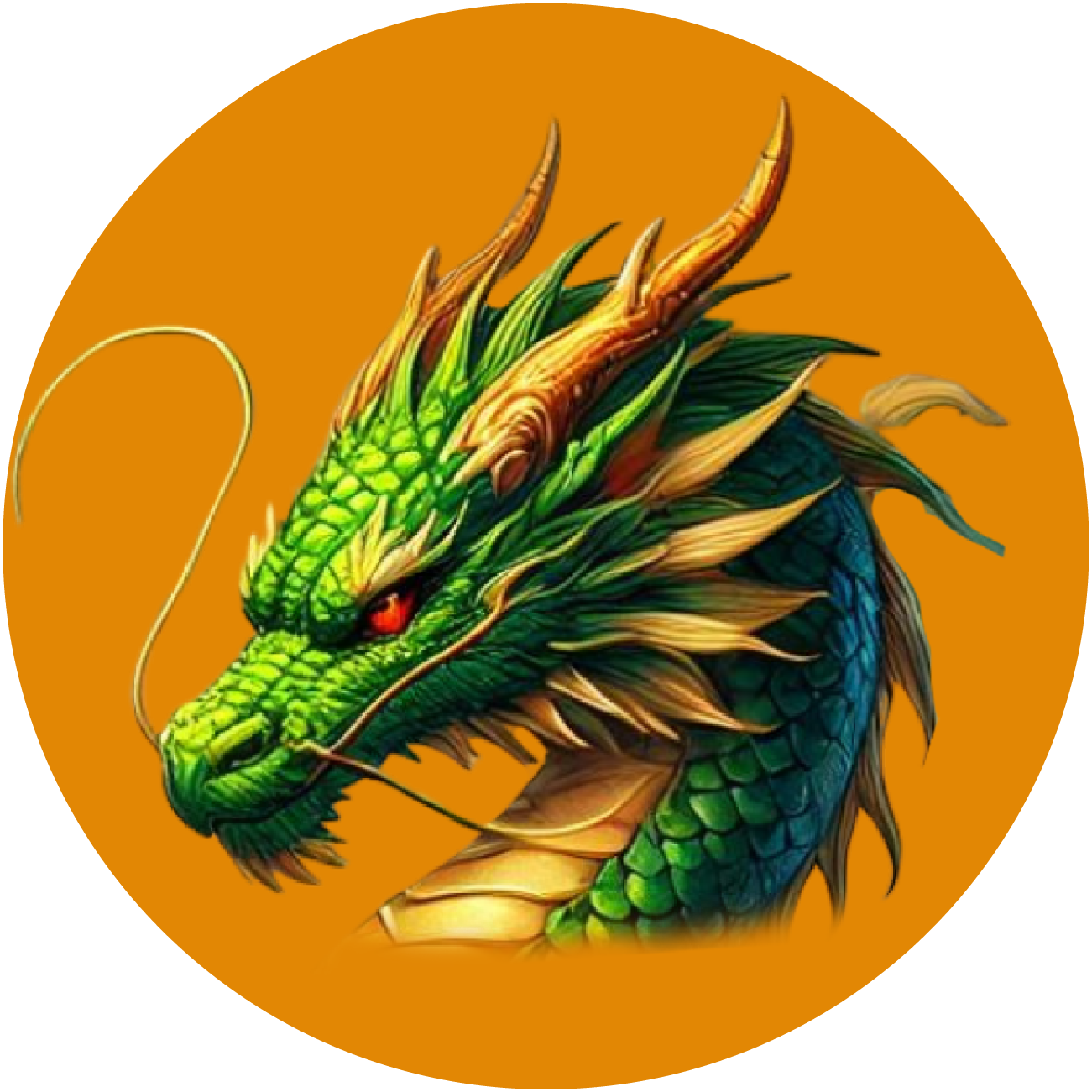 DRAGOS